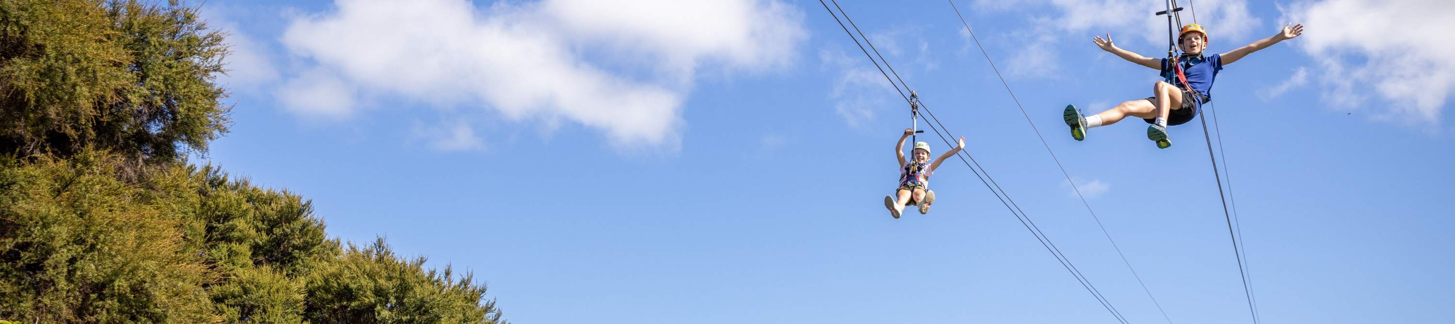 Полет сквозь кроны деревьев