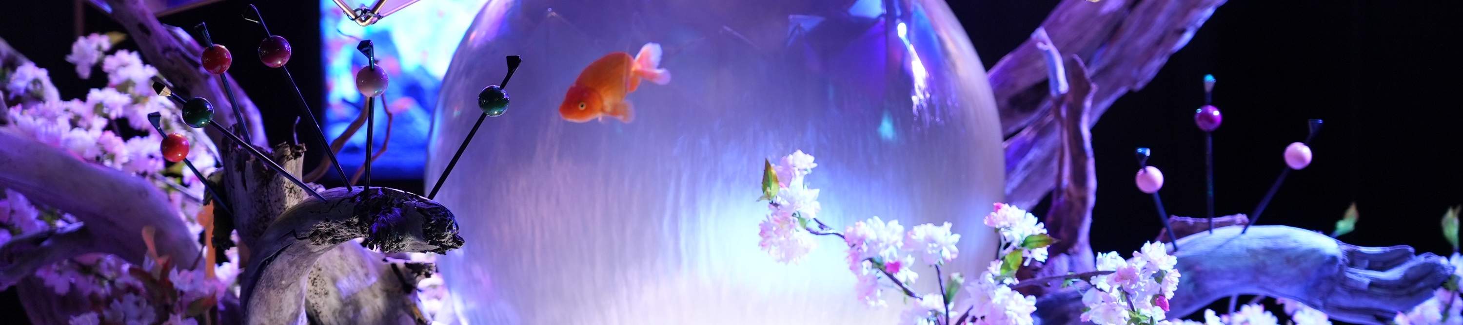 나라 킨교 뮤지엄