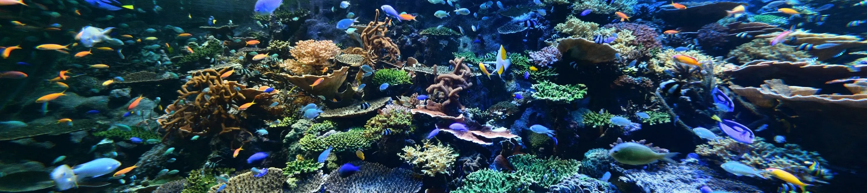 名古屋港水族馆