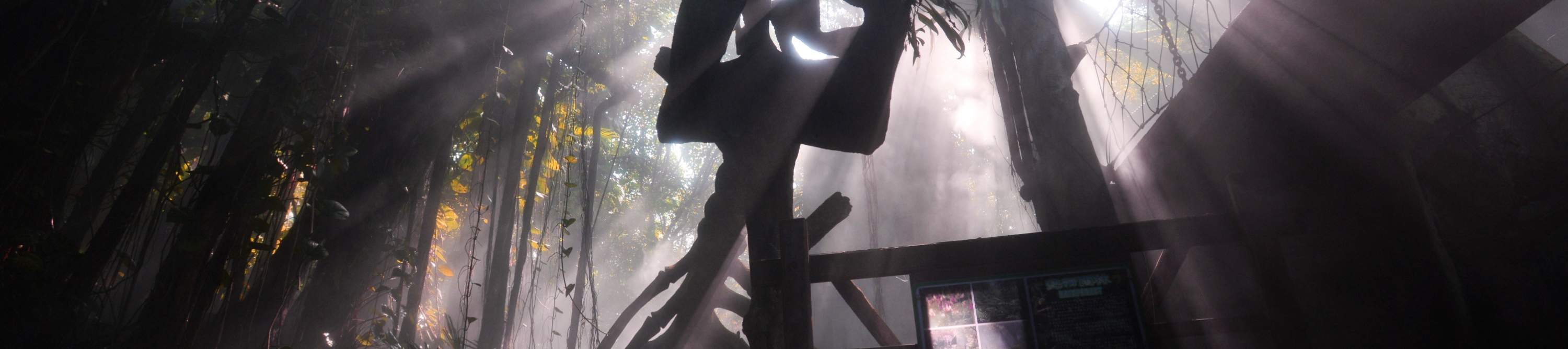 โรงแรมเซินเจิ้น ชิงชิง เวิลด์