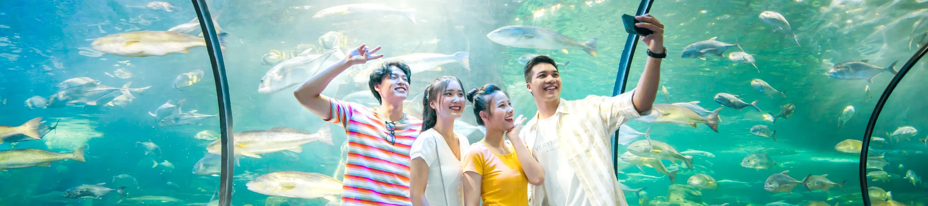 河内水族馆