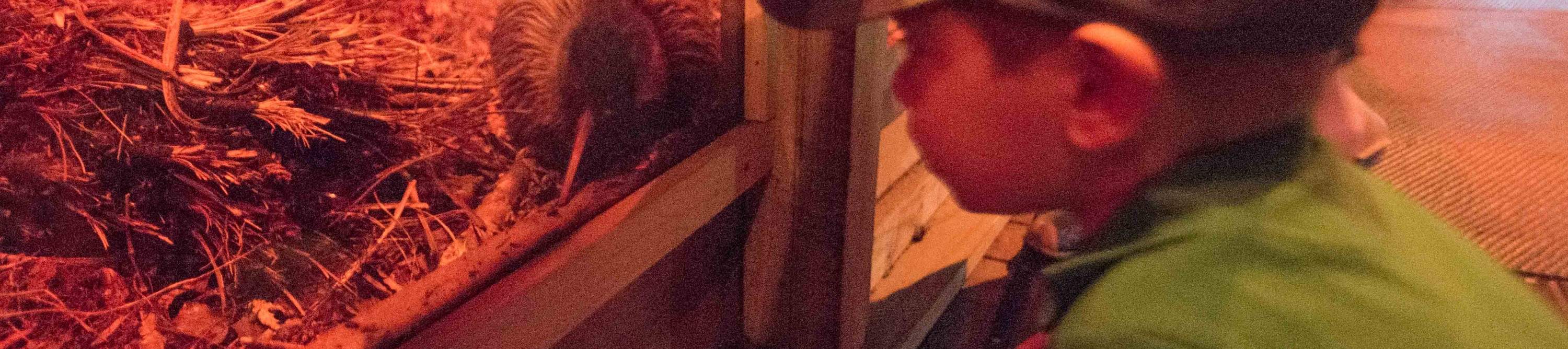 Vé Trung Tâm Động Vật Hoang Dã West Coast