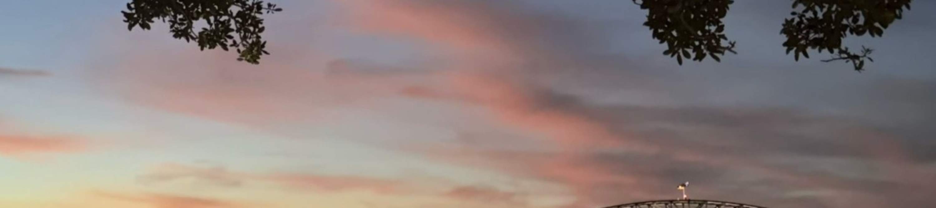 Cattura lo splendore del Teatro dell'Opera illuminato sullo sfondo del cielo notturno