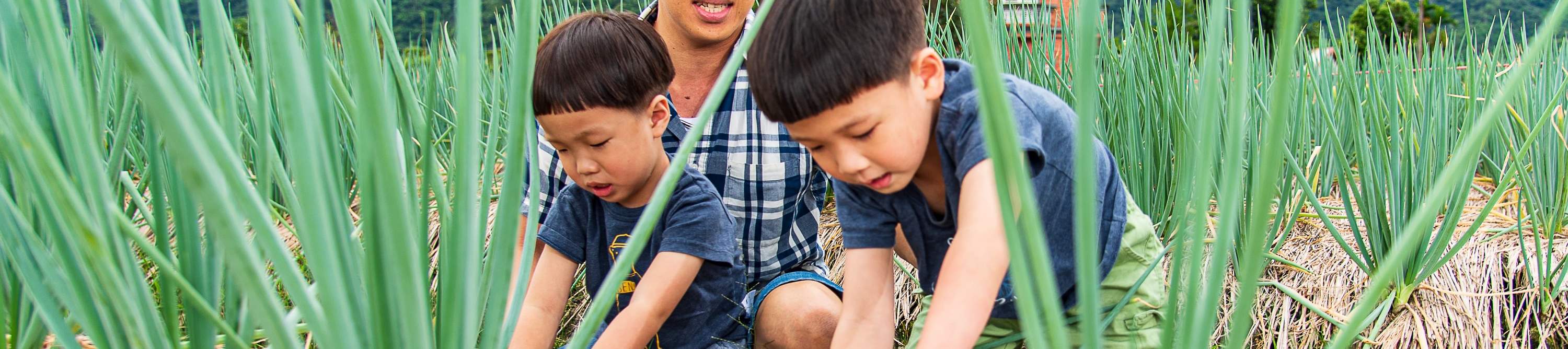 Trải nghiệm hành lá Sanxing