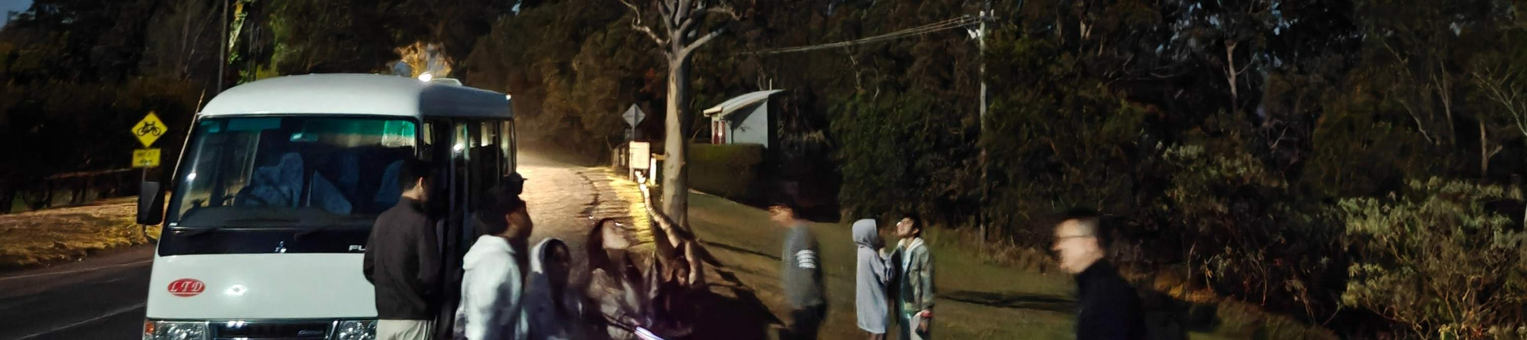 Excursion nocturne aux vers luisants de la Gold Coast avec un guide ...