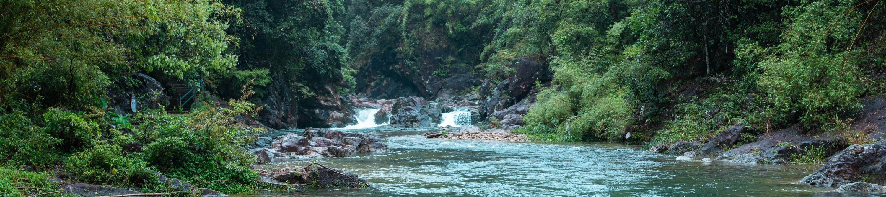 Prise en charge en voiture nolisée Shenzhen/Huizhou – Nankunshan, Huizhou