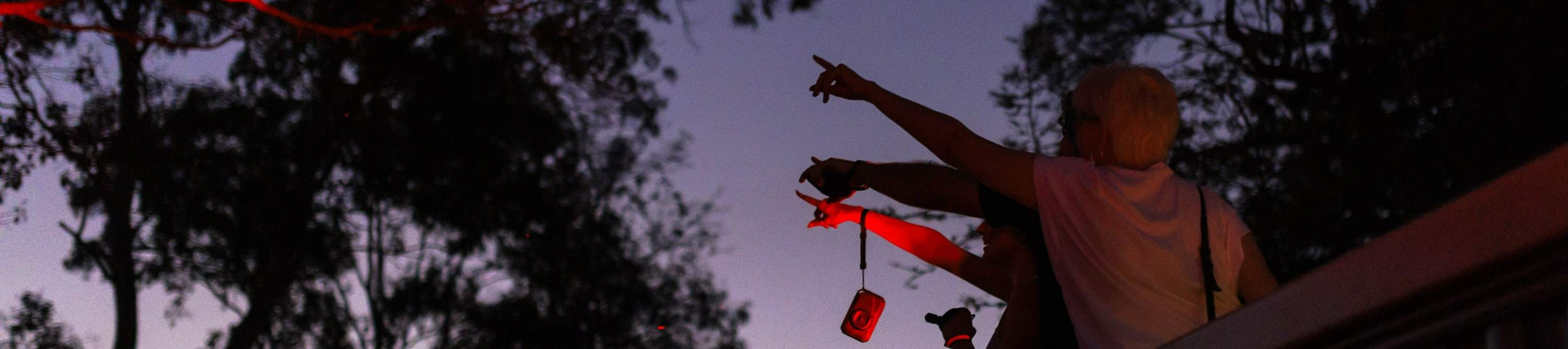 龍柏無尾熊動物園入場門票