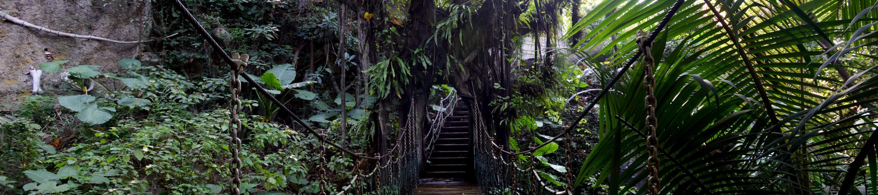 โรงแรมเซินเจิ้น ชิงชิง เวิลด์