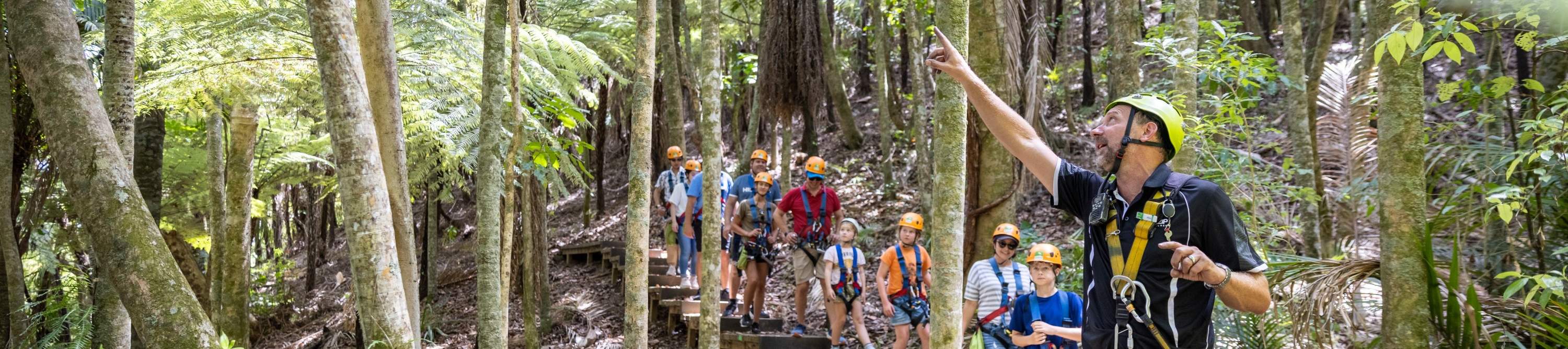 Pengembaraan zipline yang tidak dapat dilupakan