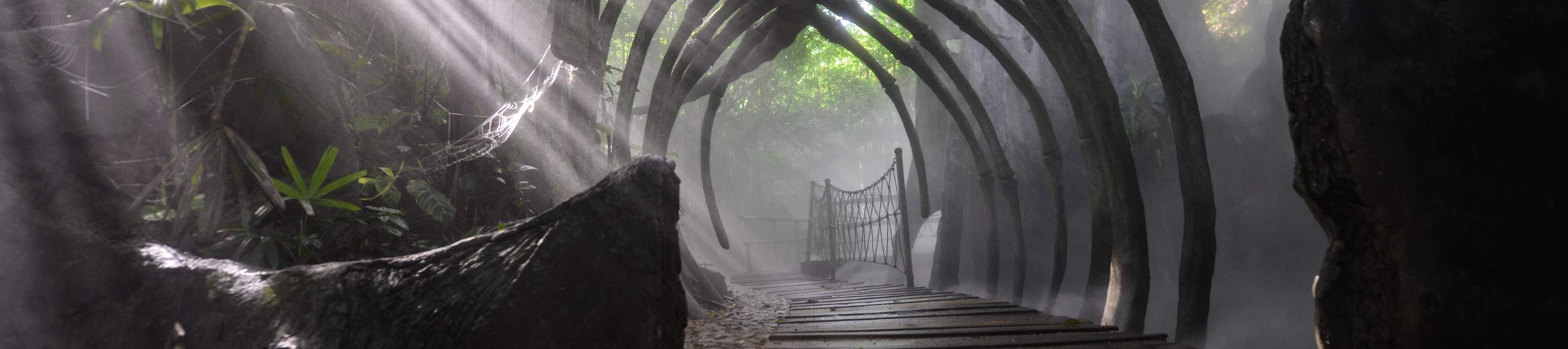 โรงแรมเซินเจิ้น ชิงชิง เวิลด์