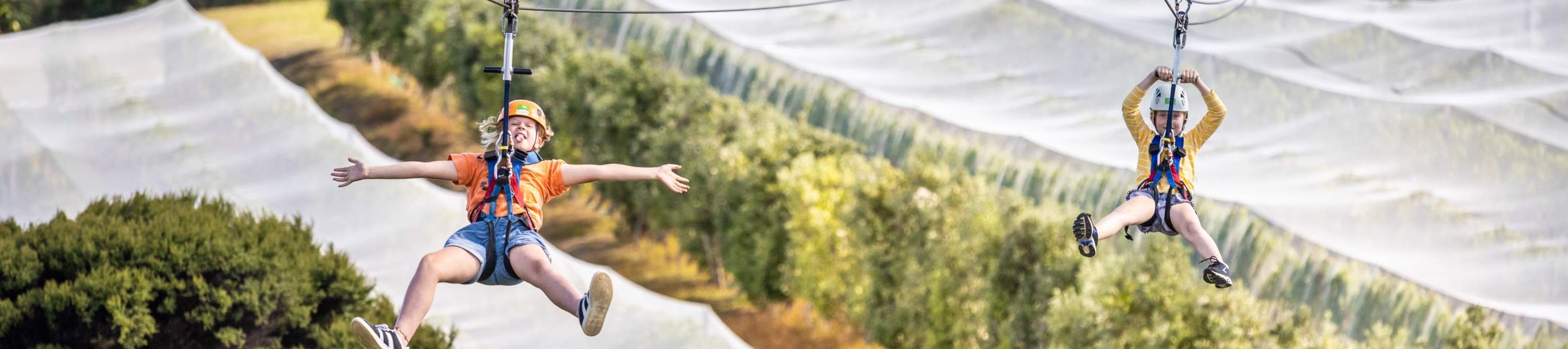 Экологичные туристические впечатления