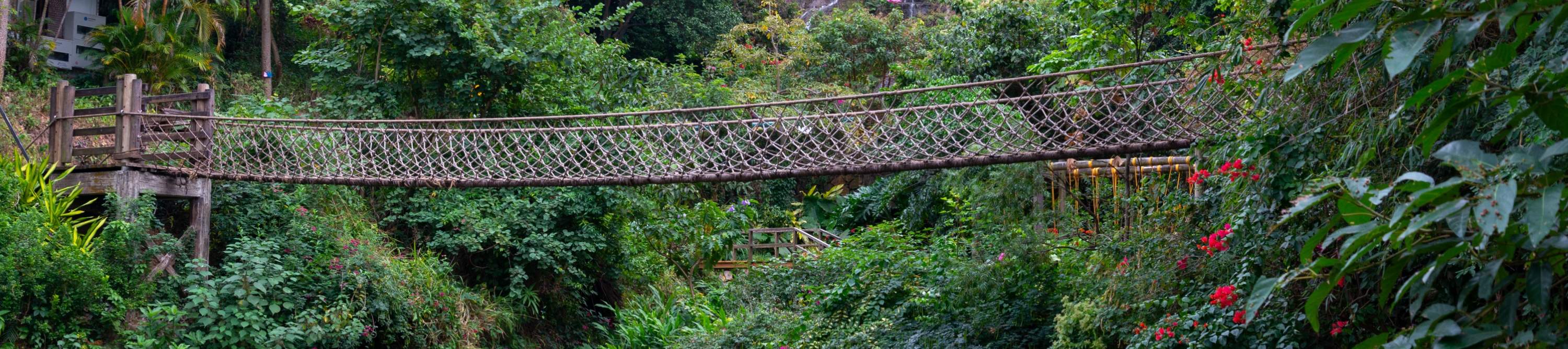 โรงแรมเซินเจิ้น ชิงชิง เวิลด์