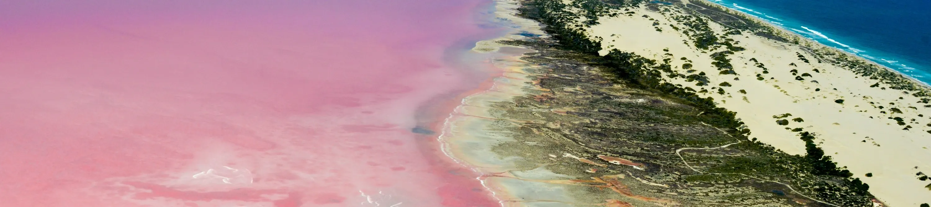 粉红湖 (Pink Lake)