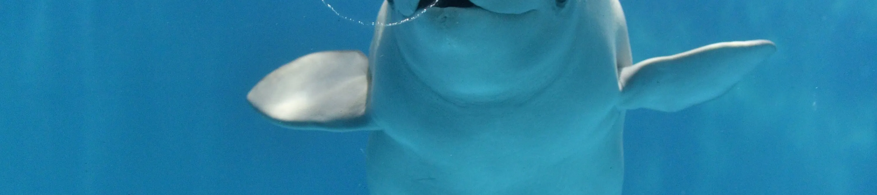 名古屋港水族馆