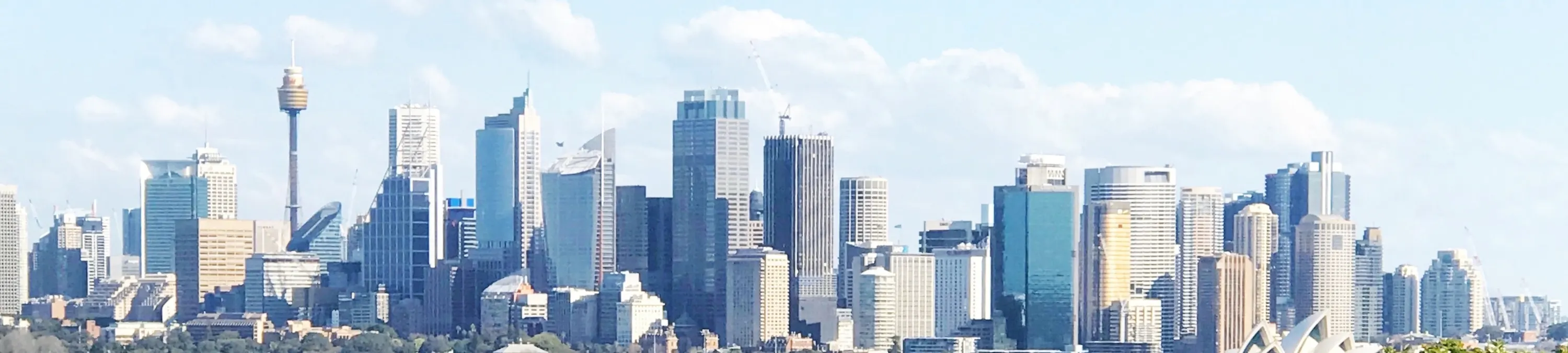 city view