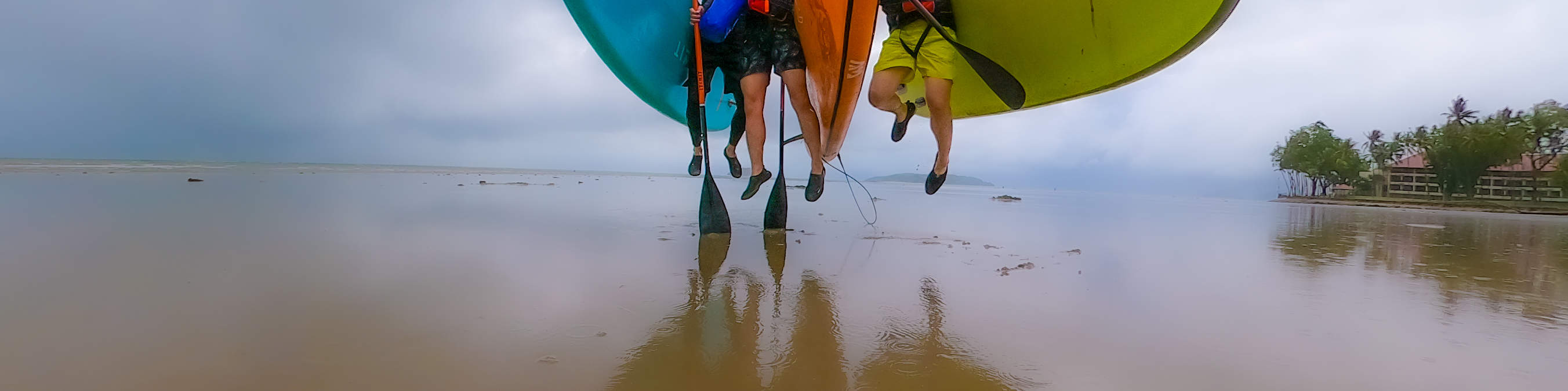 Stand Up Paddle Boarding Lesson & Safari in Kota Kinabalu Klook Malaysia