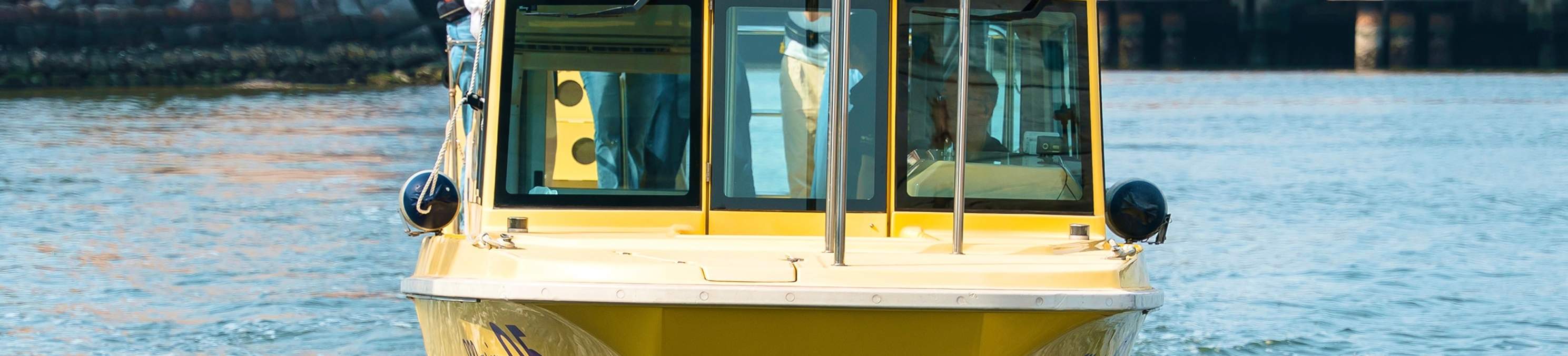 Crociera diurna e al tramonto in barca a Tokyo