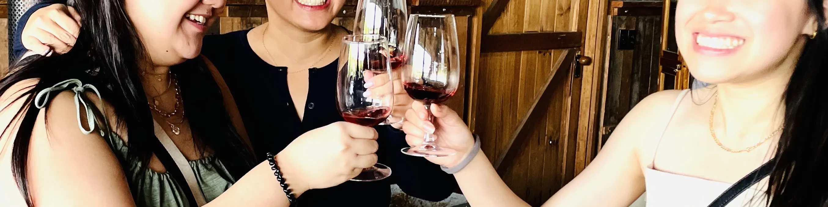 亚拉河谷酒庄之旅，包括葡萄酒、杜松子酒、苹果酒和奶酪