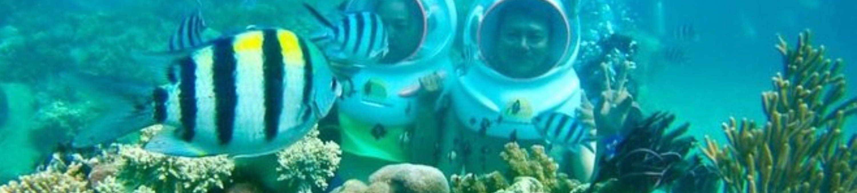 발리 씨 워킹 & 해양 액티비티 즐기기 + 선택 가능한 관광 투어