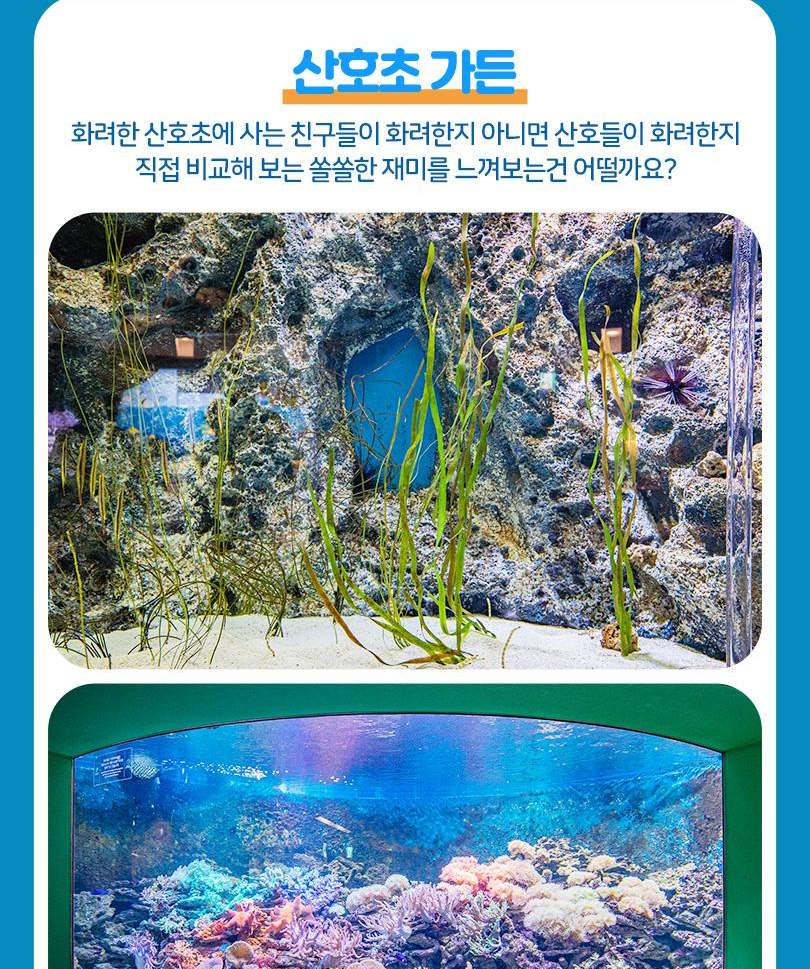 서울스카이 + 롯데월드 아쿠아리움 입장권