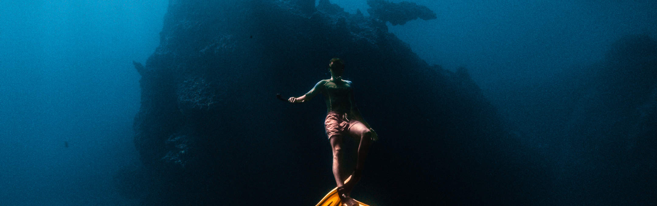 Морской мир