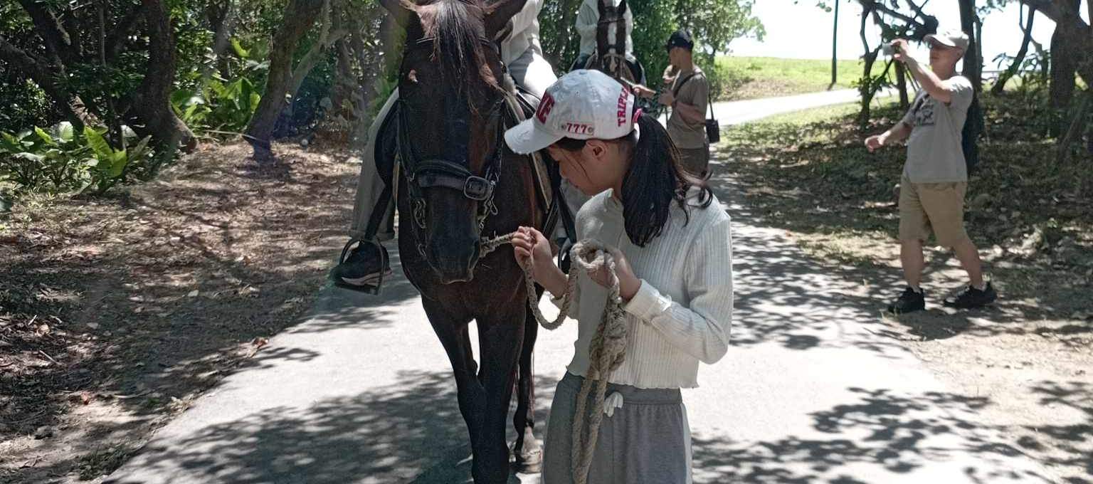 Yilan: Horseback Riding in Toucheng Binhai Forest Park (Walking with Invincible Sea View)