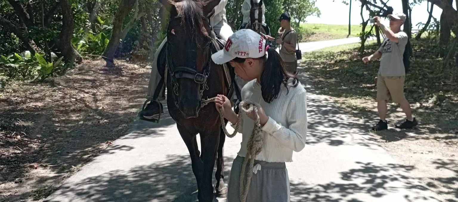 Yilan: Horseback Riding in Toucheng Binhai Forest Park (Walking with Invincible Sea View)
