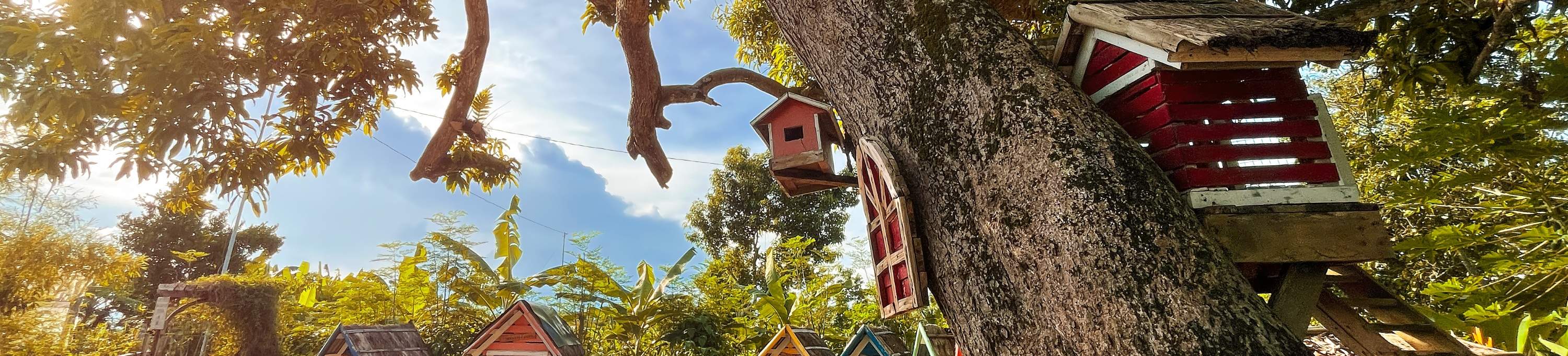 사우스 팜 당일 이용권