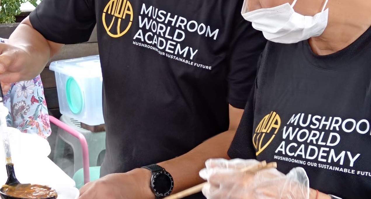 프라이빗 버섯 농장 체험