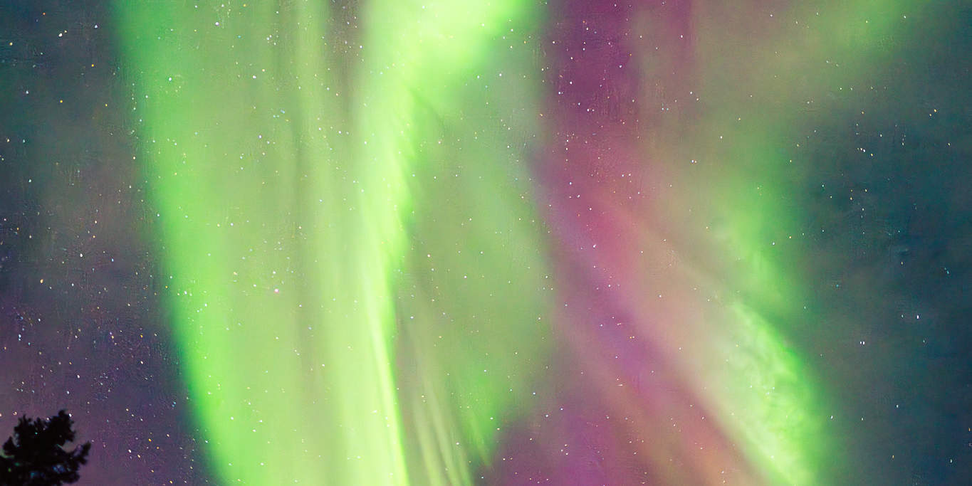 写真撮影付きオーロラ鑑賞ツアー