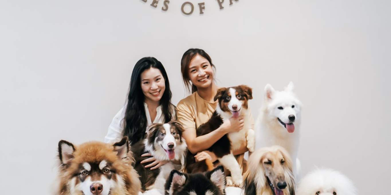 HOME Di Tales of Paws