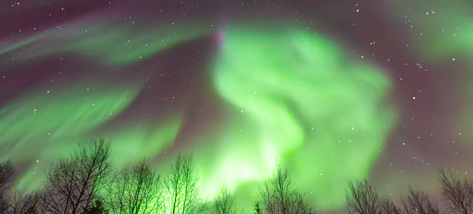 写真撮影付きオーロラ鑑賞ツアー