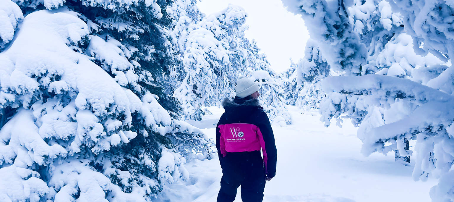 リーシトゥントゥリ国立公園ハイキング