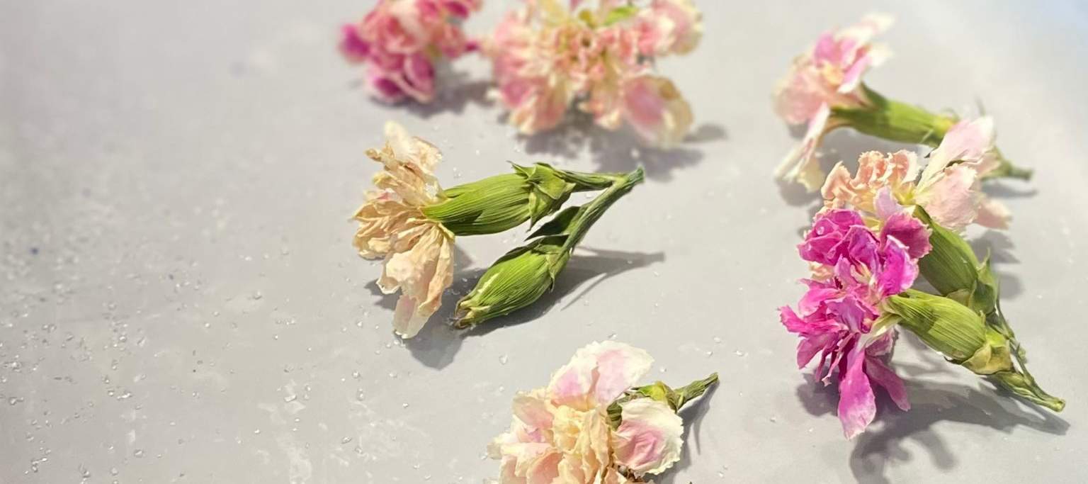 Ketahui cara mengendalikan batang dan menyusun bunga untuk bunga kering dan diawet