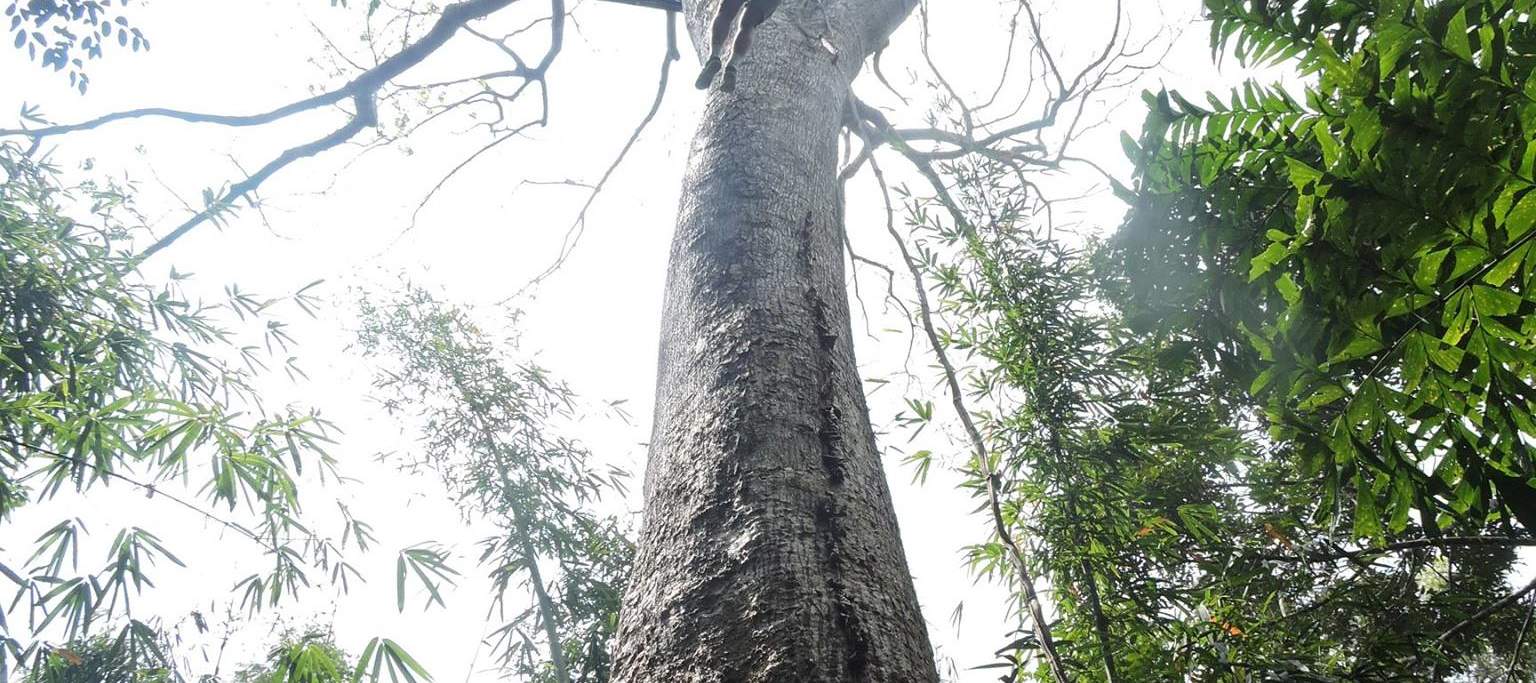普吉岛滑索体验