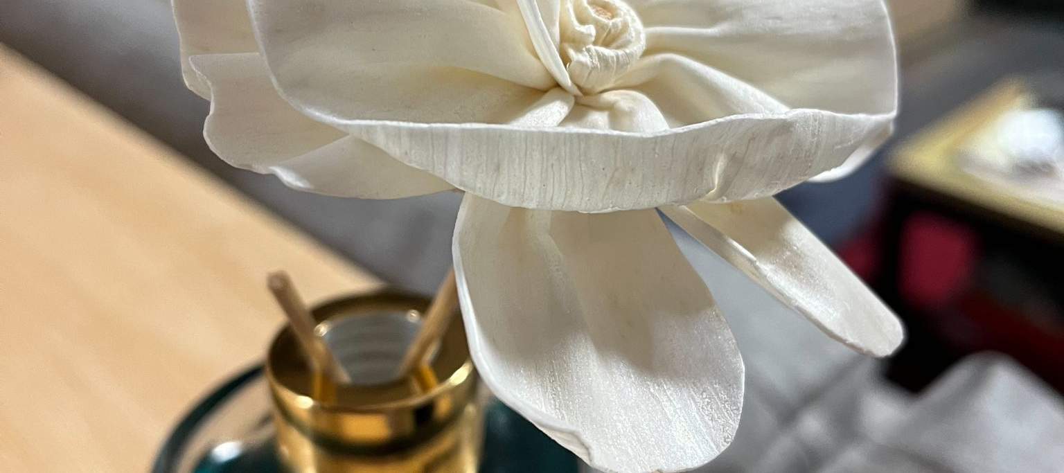 加了擴香瓶的DIY索拉花更為家居增加氛圍感