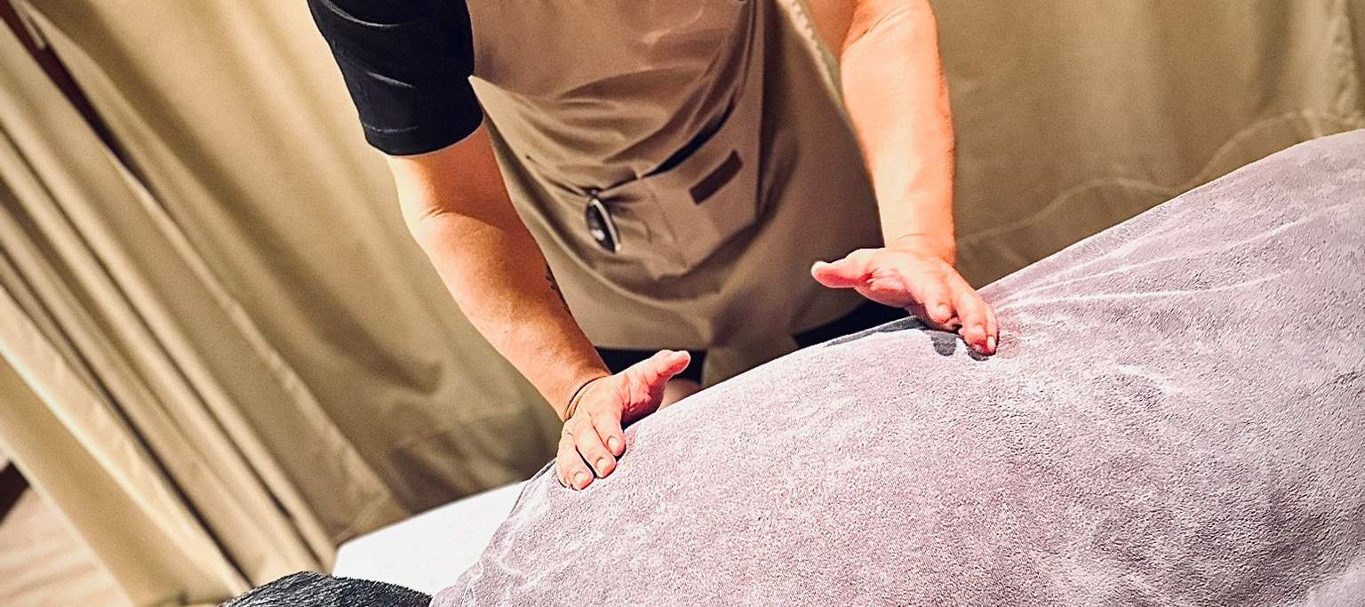 Bark Legs Rescue Project_Refuse to Be a Dog_Massaggio Piedi/Corpo