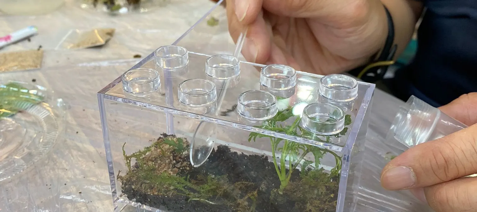 手作班房 - 微景观植物生态工作坊 Mini Terrarium Workshop｜铜锣湾