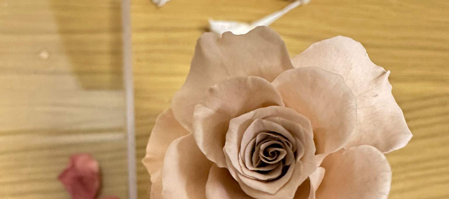 更會教你最少一種開花方法