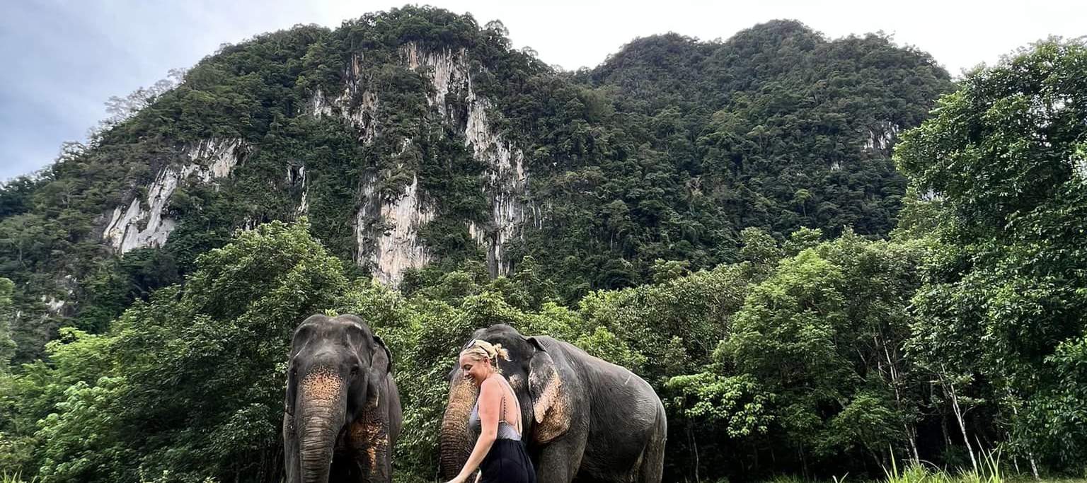 大象保护区甲米体验