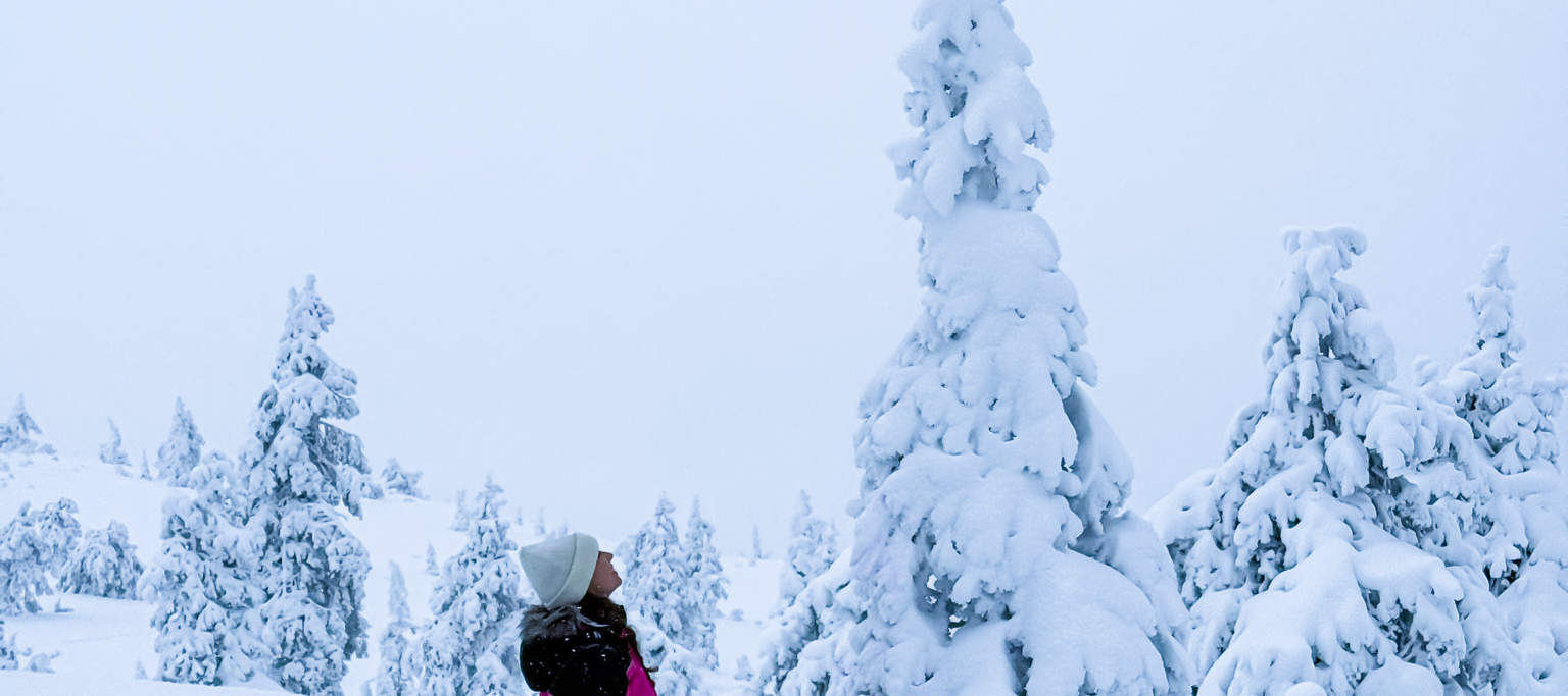 リシトゥントゥリ国立公園ハイキング