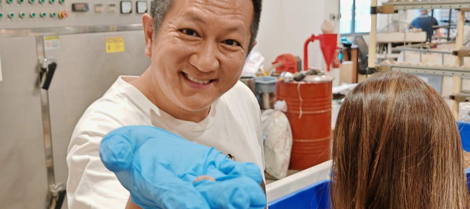 Thực hành cùng thiên nhiên! Người tham gia sẽ thích thú khi được cầm ấu trùng BSF sống và khám phá thế giới hấp dẫn của chúng.