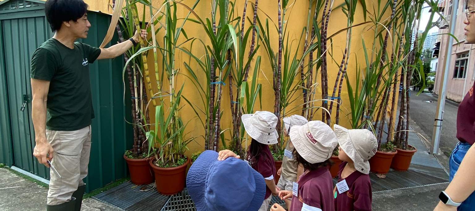 [TEL4 Exclusivo de Klook] Vistas del Este con Puesta de Sol