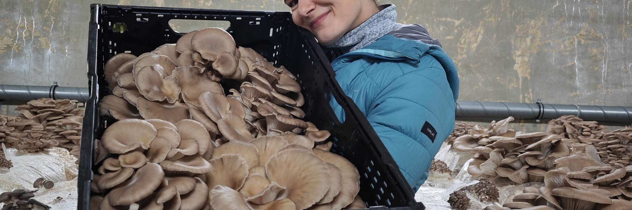 Silvia đang cầm một thùng IFCO màu đen đựng đầy nấm ăn tươi.