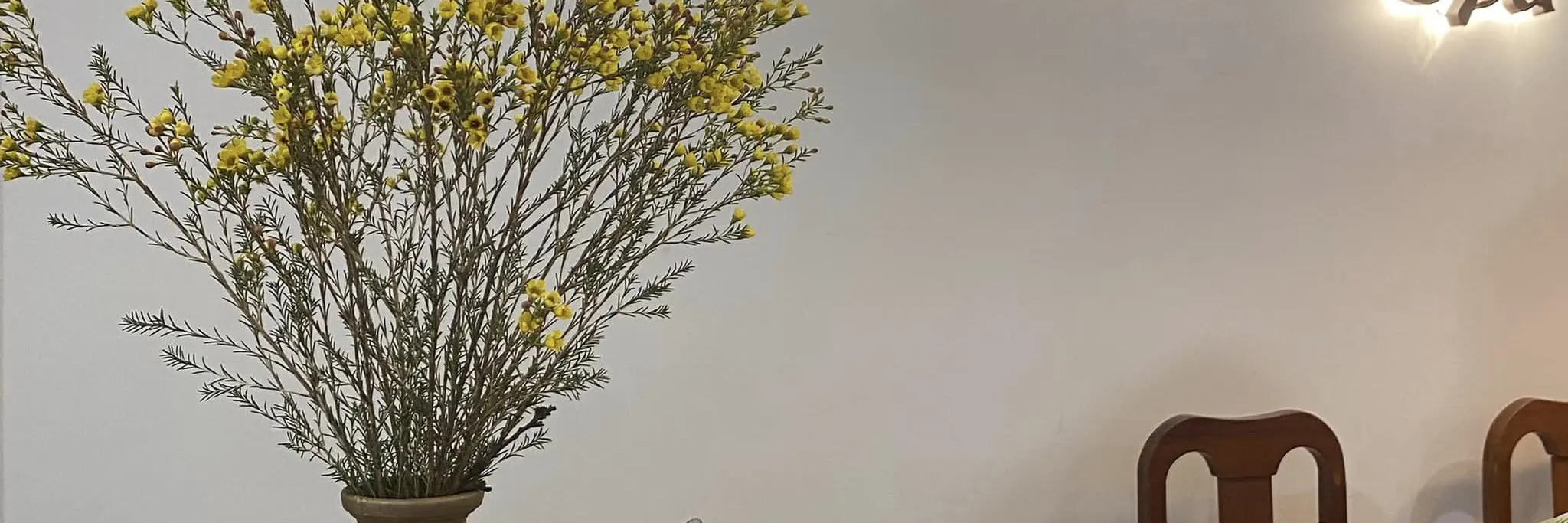 水疗接待处