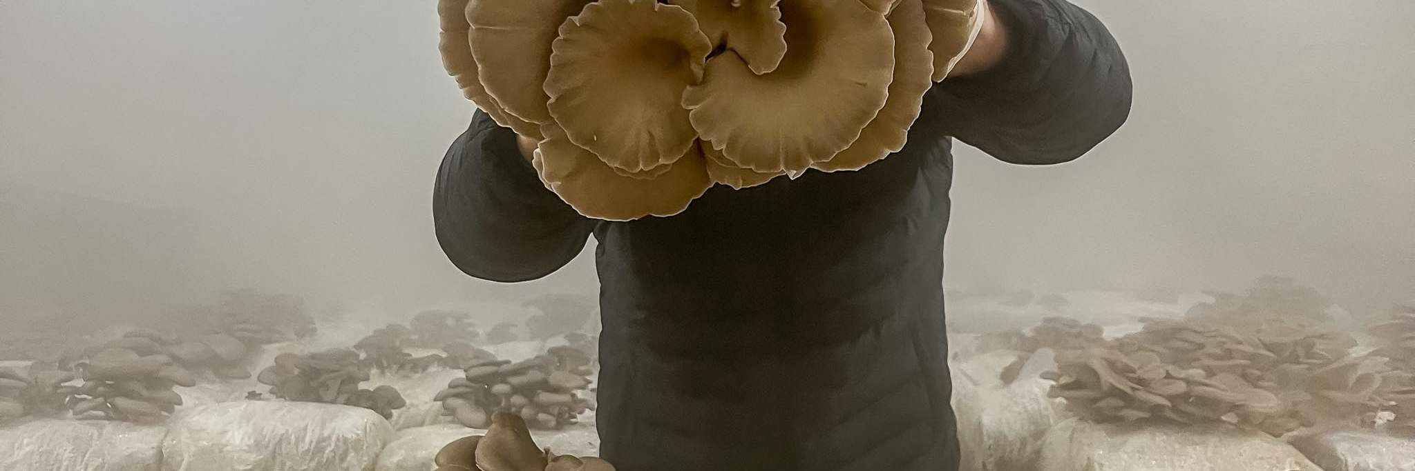 Carsten đang cầm một cây nấm bào ngư rất lớn trên tay