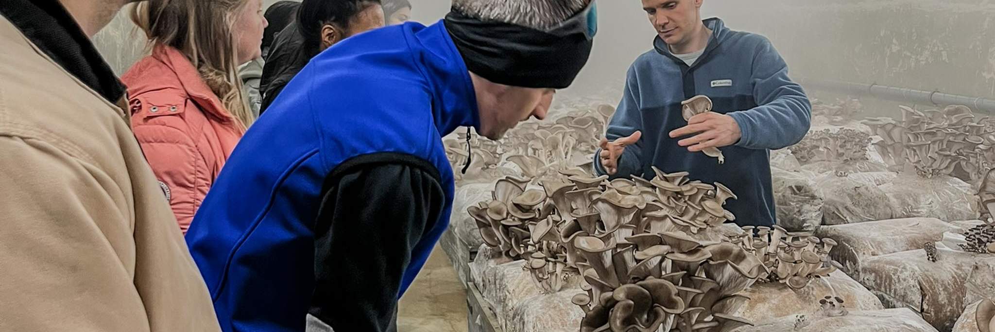 Người tham gia nếm thử nấm Züripilz mới chế biến.