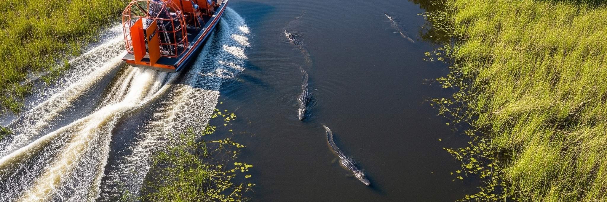 ประสบการณ์นั่งเรือแอร์โบ๊ทในเอเวอร์เกลดส์และชมจระเข้