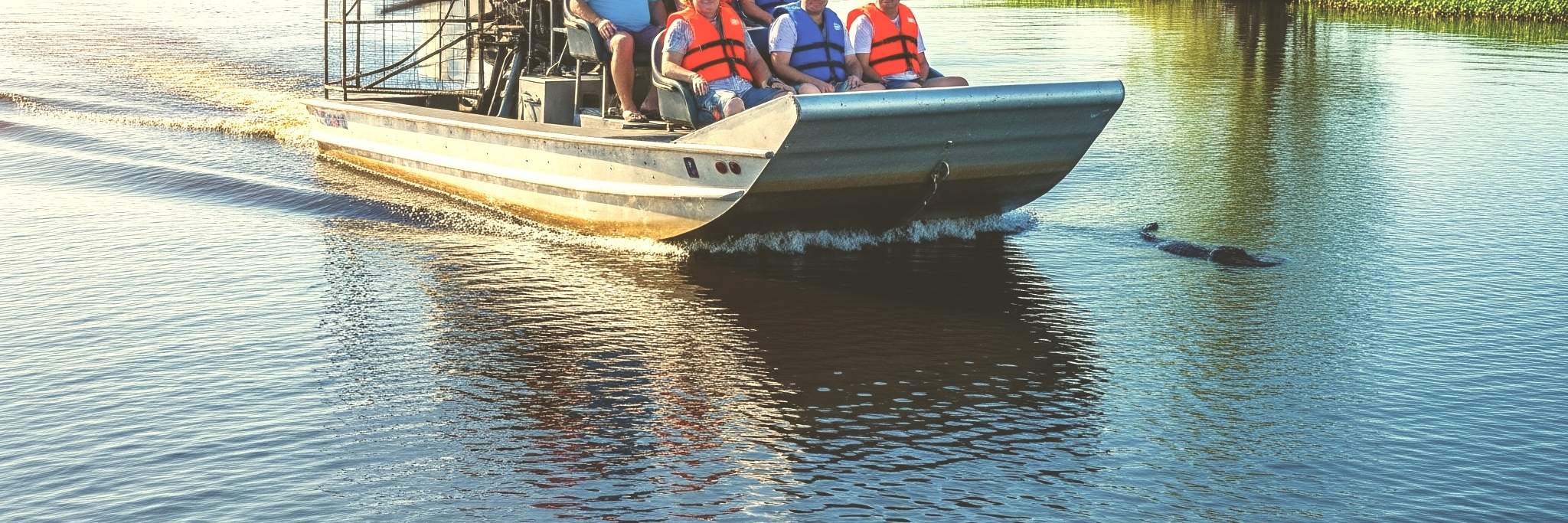 Experiencia en hidrodeslizador y caimanes en los Everglades