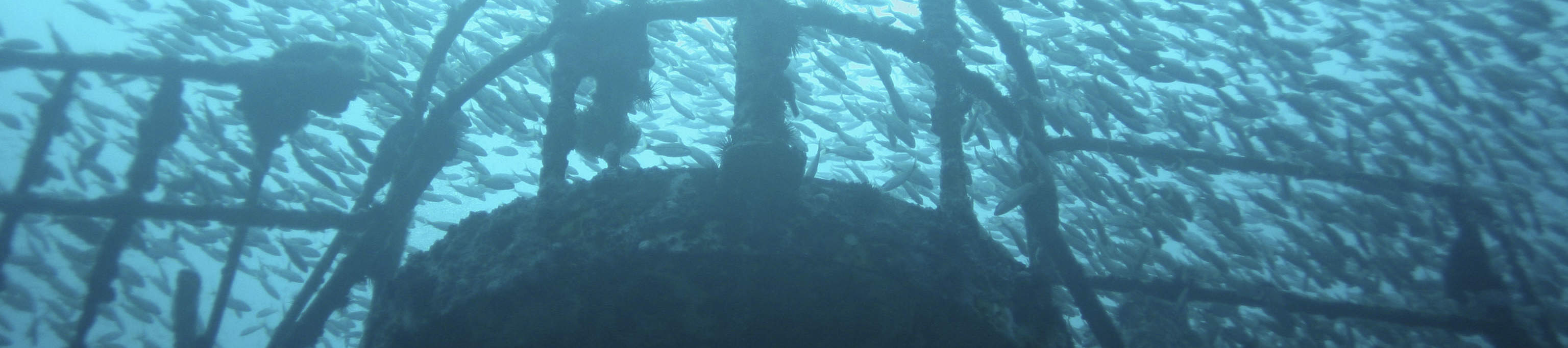 PADI Advanced Open Water Diver Livello 1